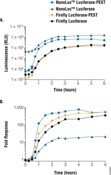 A comparison of light output and response dynamics between NanoLuc™ and firefly luciferase constructs.