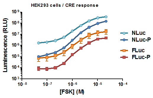 CRE_Response_In_HEK293_Cells 10615MA