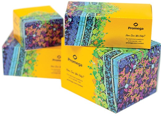 Promega kit boxes