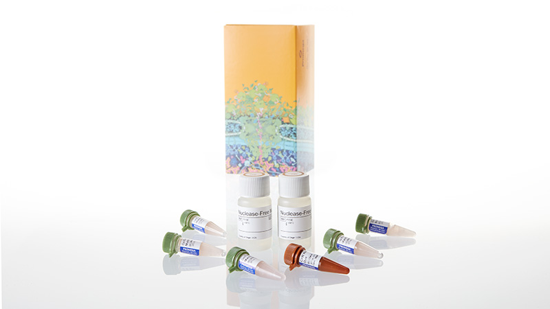 GoTaq qPCR Master Mix 5ml