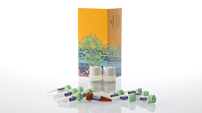 am2001-gotaq-enviro-qpcr-system-3