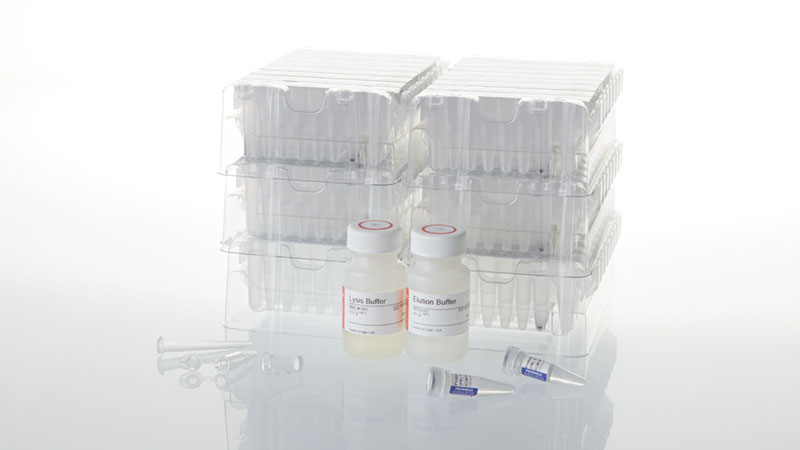 Maxwell RSC Buccal Swab DNA Kit 48 preps