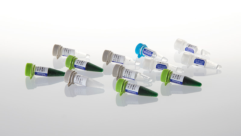 D4005_GoTaq--MDx-Taq-Polymerase--5u-3aul--500u_3