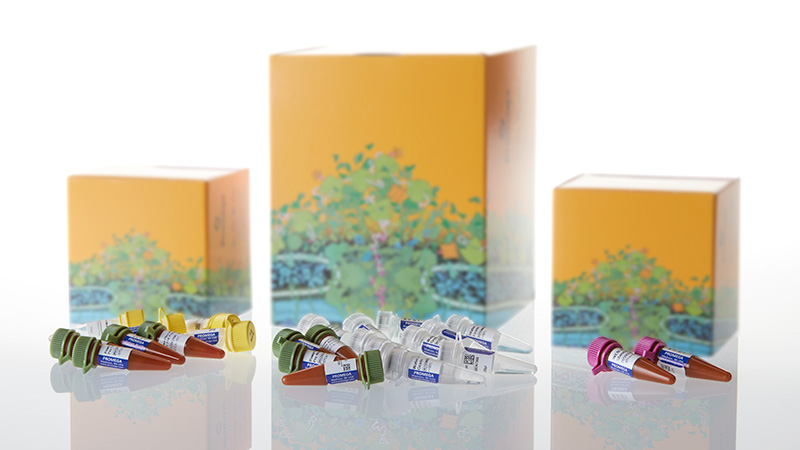 DC7780_PowerPlex--ESI-17-Pro-System--400rxn_3