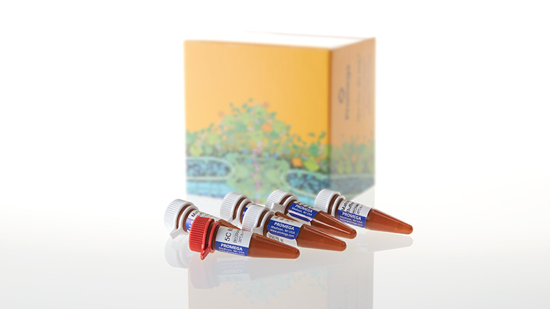 DG4850_PowerPlex--5C-Matrix-Standard--5-preps_3