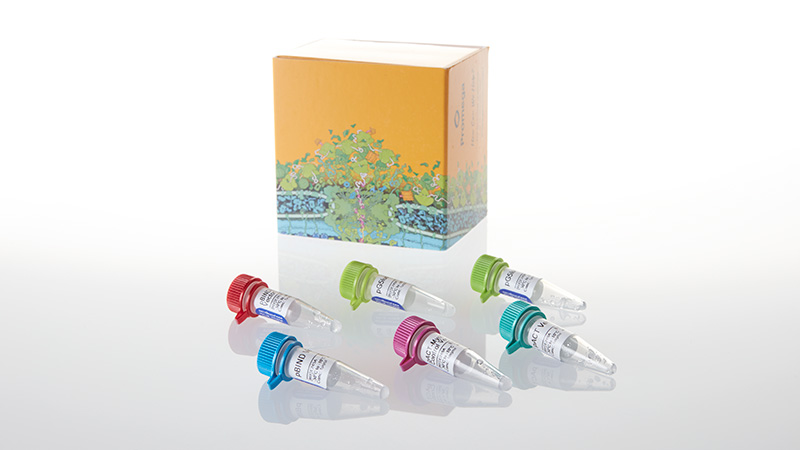 E2440_CheckMate--Mammalian-Two--Hybrid-System_3