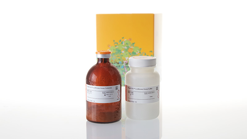E2620_Bright-Glo--Luciferase-Assay-System_3