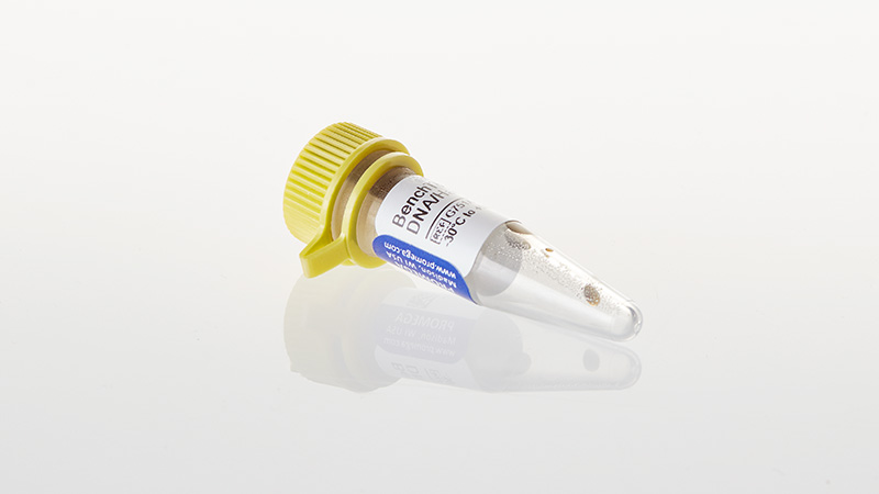 BenchTop PhiX174 DNA/HaeIII Markers 250µl