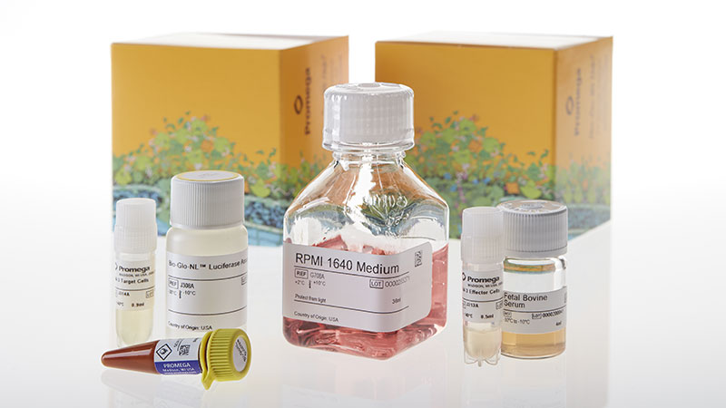 JA2211_TIM-3-Bioassay_3