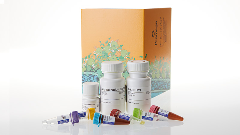 je9300-bcaa-glo-assay-5-ml