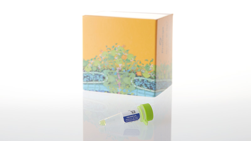 L5001_FluoroTect GreenLys in vitro Translation Labeling System_3