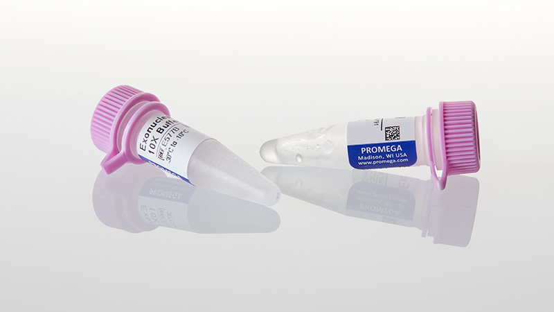 M1811_Exonuclease-III--5-000u_3