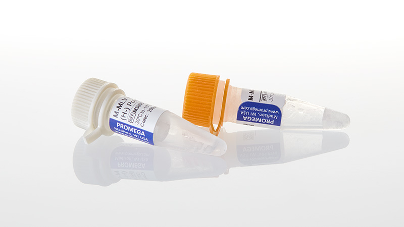 M3682_M-MLV-RT-RNase--H---PointMutant--10000u_3