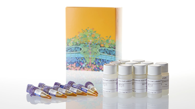 N1130_Nano-Glo--Luciferase-Assay--10x10ml_3