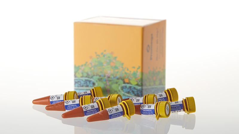 N2582_Nano-Glo--Vivazine--Live-Cell-Substrate_3