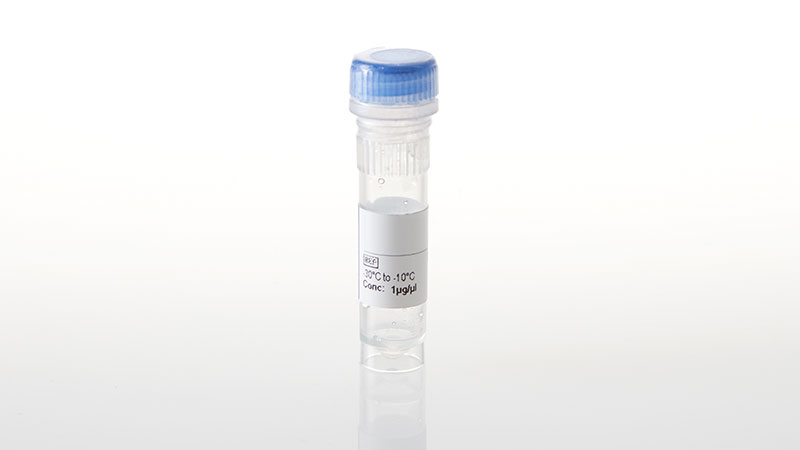 NV4101_NanoLuc--PRKAA1