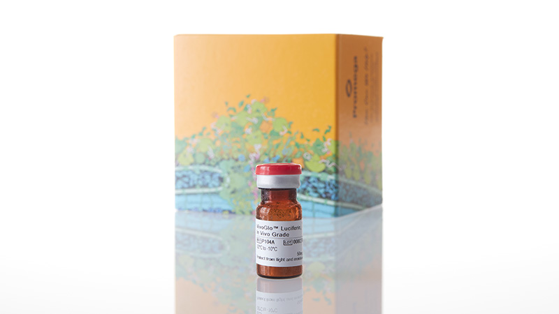P1041_VivoGlo--Luciferin--In-Vivo-Grade--50mg_3