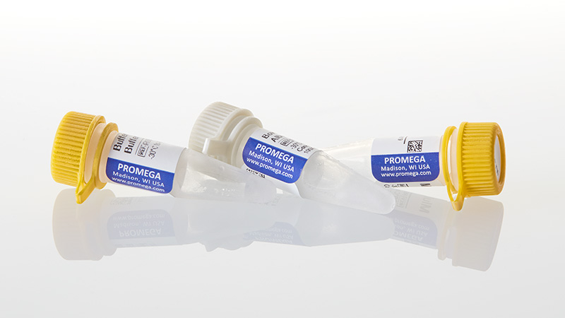 R6381_MluI--GQ--1-000u_3