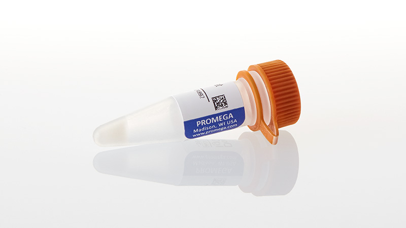 V8051_Donkey-Anti-Goat-IgG-HRP--60ul_3