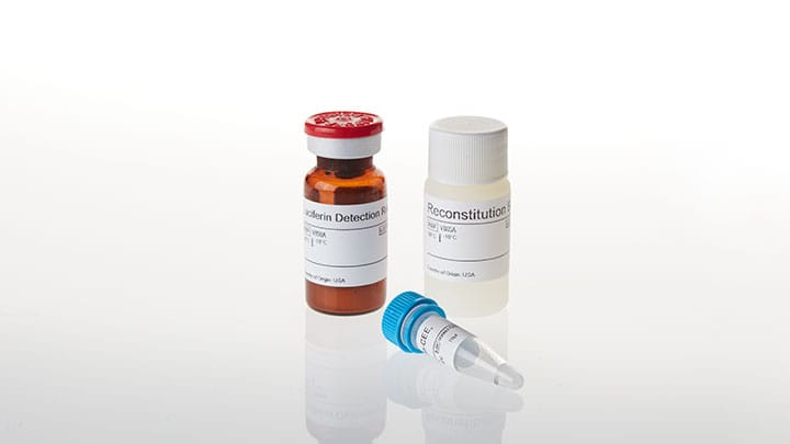 P450 Glo CYP1A1 Assay 10ml