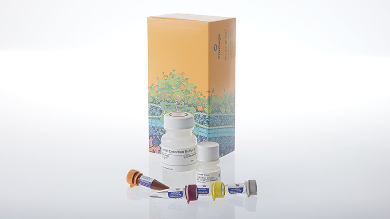 w1911-lumit-active-il-18-human-immunoassay