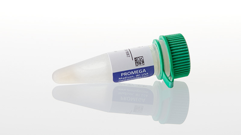 W4031_Anti-Human-IgG-HRP-Conjugate--300ul_3