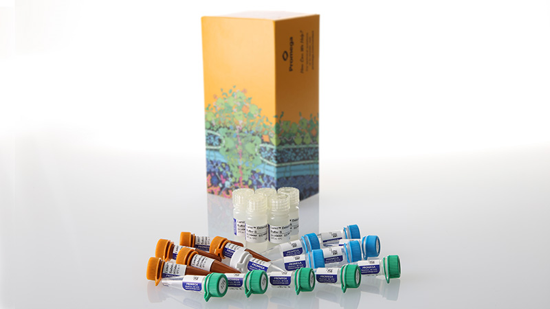 w6022-lumit-il-2-human-immunoassay-500-assays