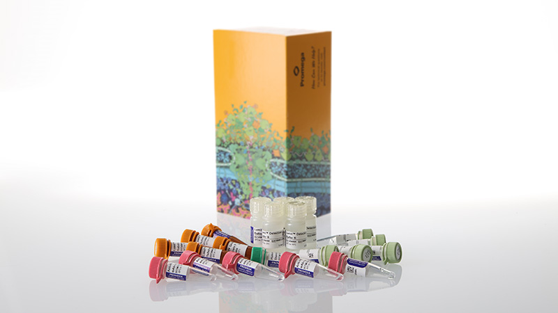 w6072-lumit-il-10-human-immunoassay-500-assays