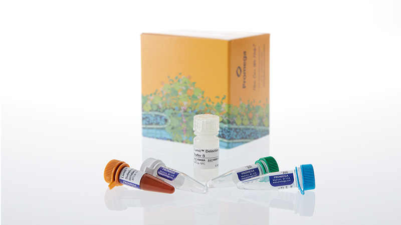 w6110lumithmgb1humanmouseimmunoassay3