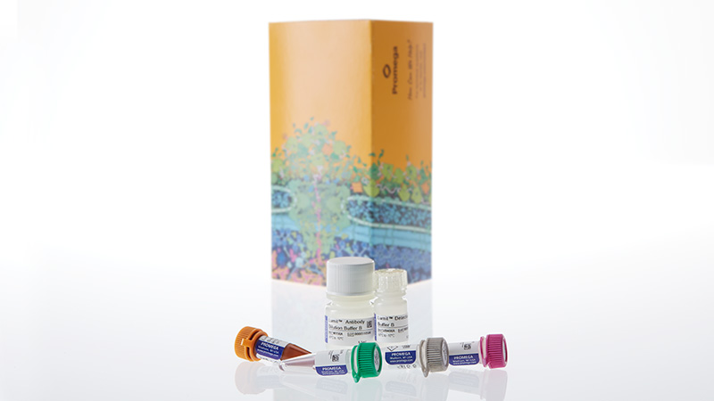 w8020-lumit-glucagon-immunoassay-3