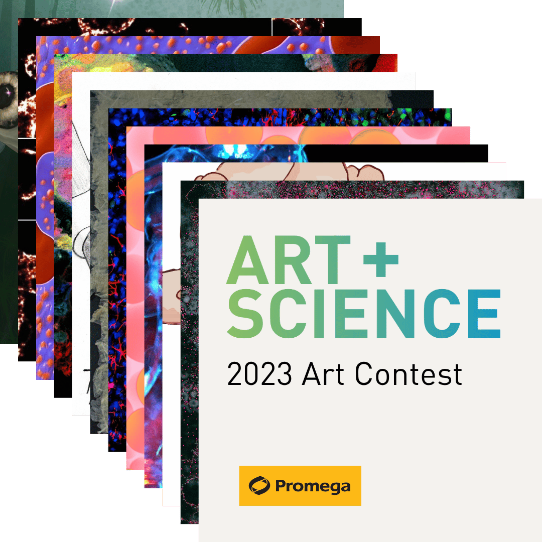 2023-stacked-collage