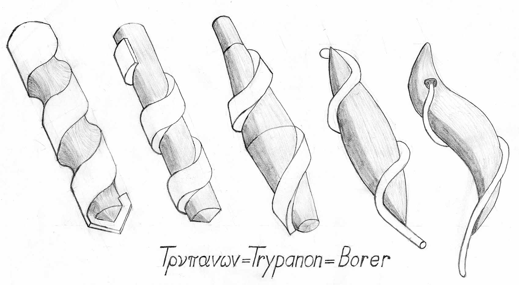etymology-of-trypanosoma