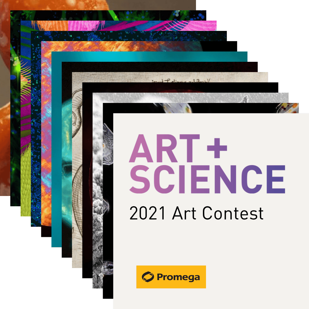 2021-stacked-collage