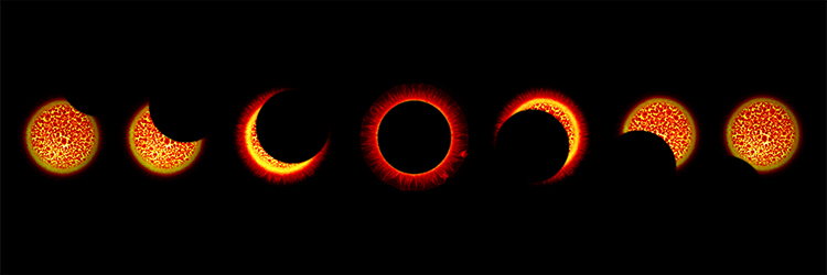 eclipse-in-a-petri-dish-collection