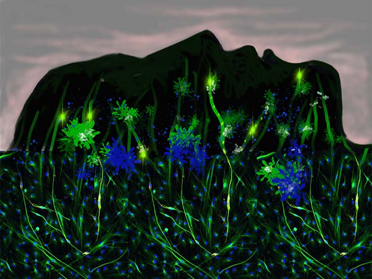 encounter-of-micro-and-macro-worlds-collection