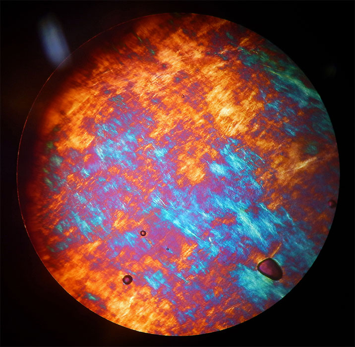 guest-crystalline-universe