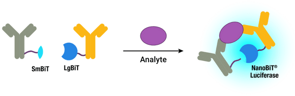 lumitize-analyte-illustration-600x195