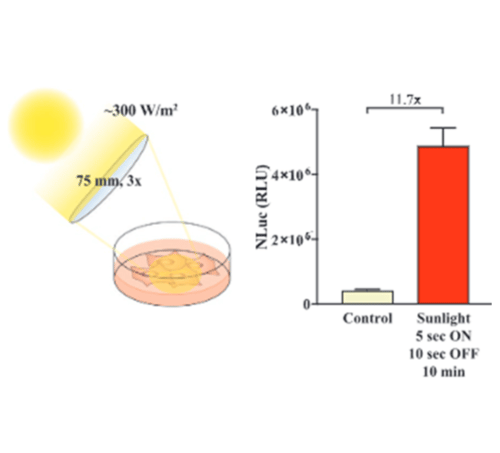 nano-glo-luciferase-assay-system