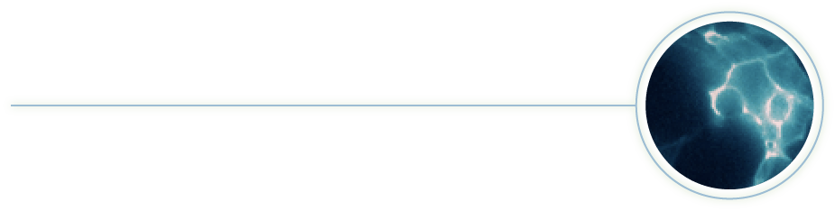 NanoLuc Technology Application Glowing