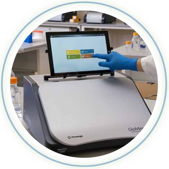 glomax-demo-ws2021-na