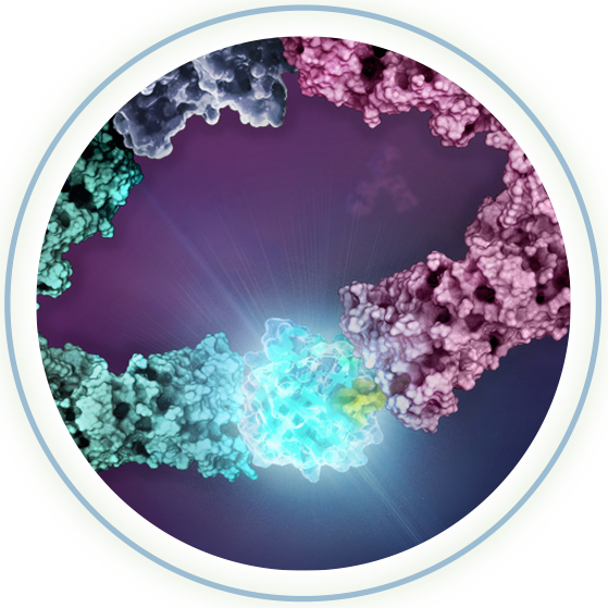 lumit-gloing-circles-ws2021-na