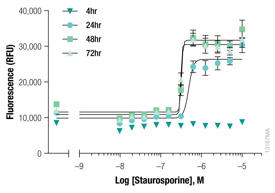 13167MA