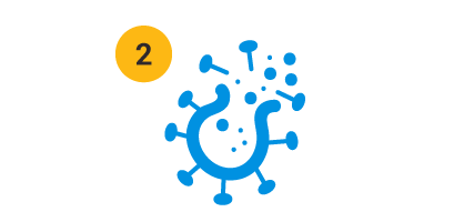 DIrect PCR workflow Step 2: Lyse Sample