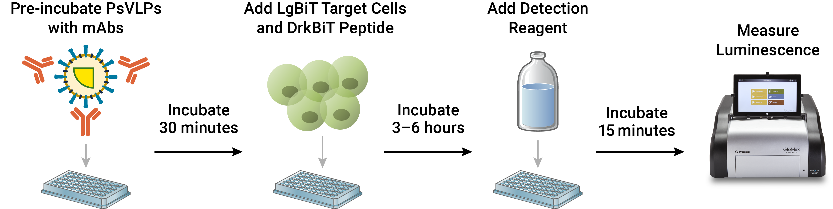 Bio-Glo-NB™ VLP Luciferase Assay System assay workflow.