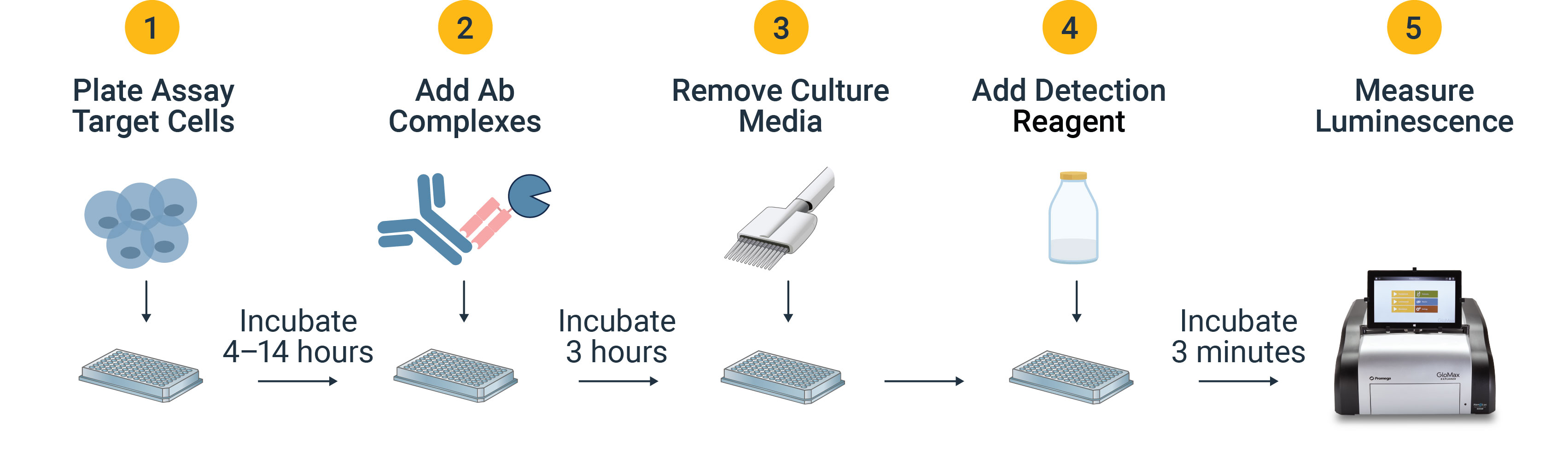 Drawing showing the ADC Internalization Assay workflow.