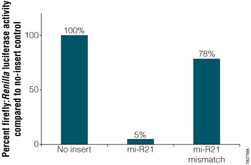 Normalized luciferase activity using the pmirGLO Vector with an mi-R21 target sequence.